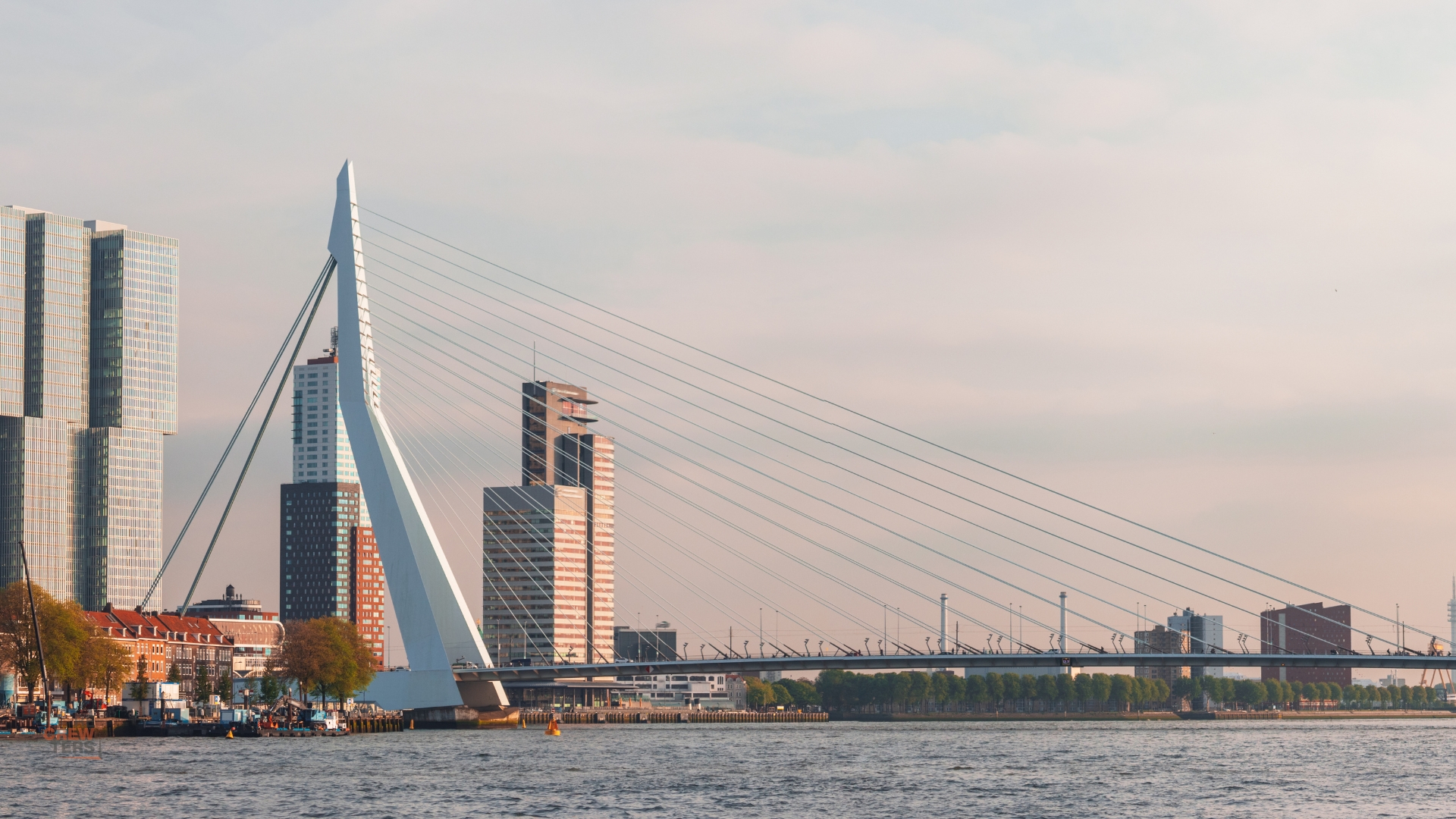 Oona gestart bij Gemeente Rotterdam